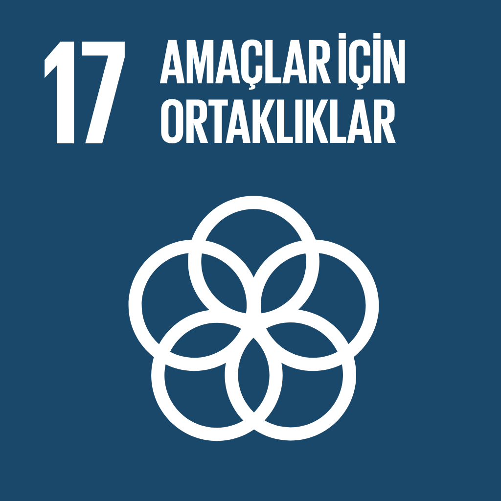Sürdürülebilir Kalkınma Amacı 17