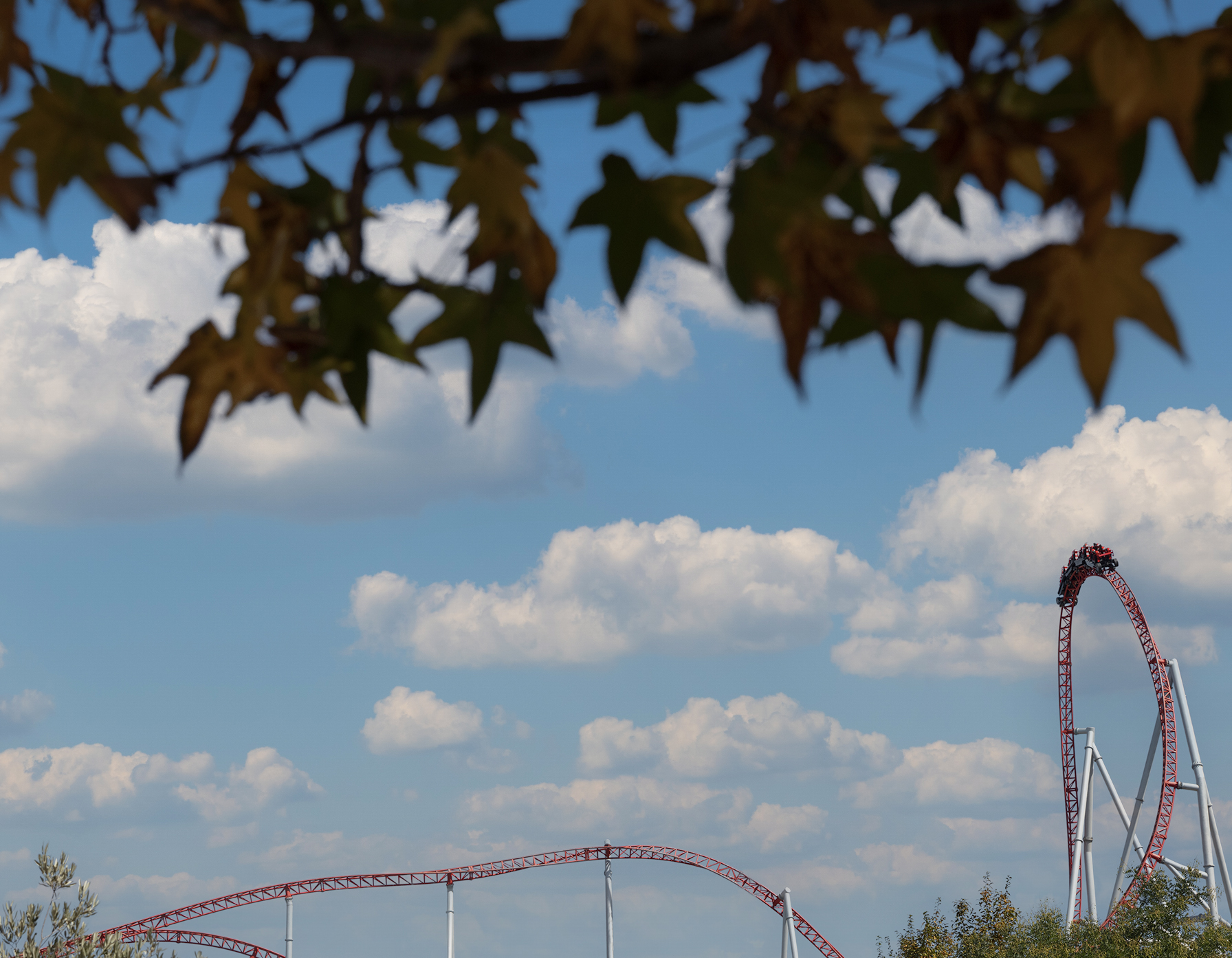 Nefeskesen görsel 2