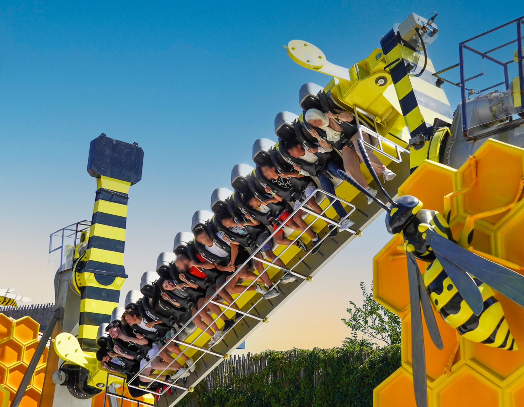 Yaban Arısı görsel