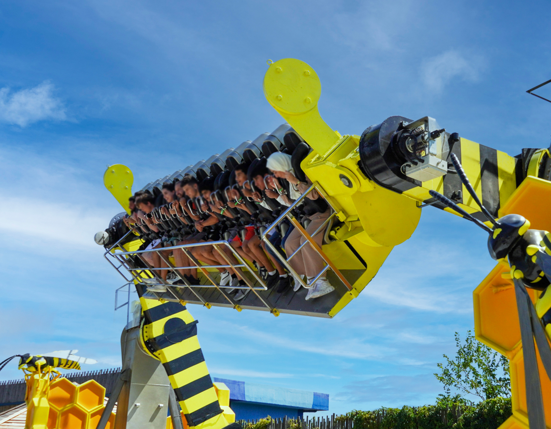 Yaban Arısı görsel 2